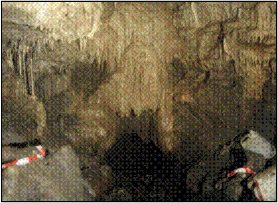 Example of fixed point photography for cave conservation
