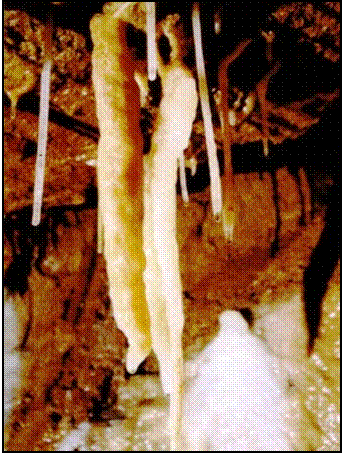 Decorations inside Golden Chamber