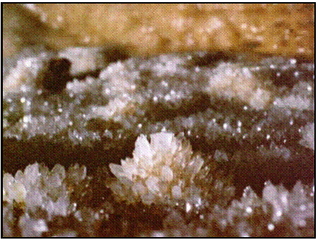 Decorations inside Golden Chamber