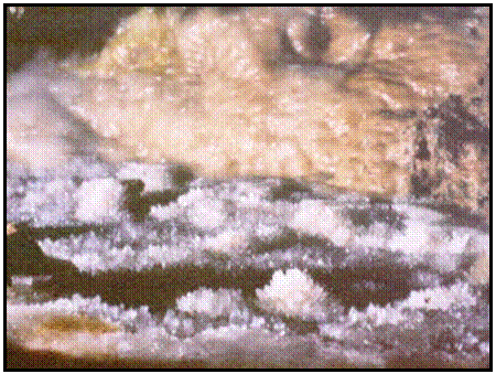 Decorations inside Golden Chamber