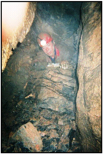 Formations in Upper Flood Swallet