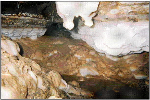 Formations in Upper Flood Swallet